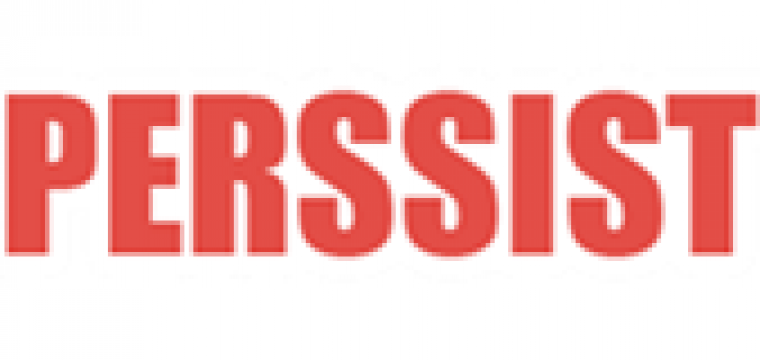 Perssist