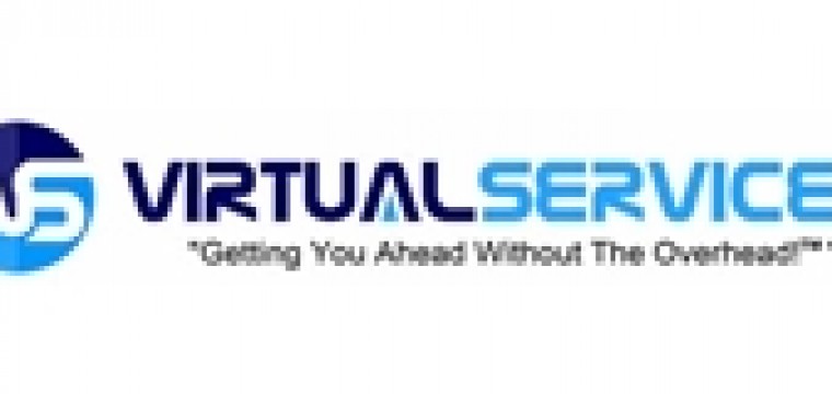 NS Virtual Services
