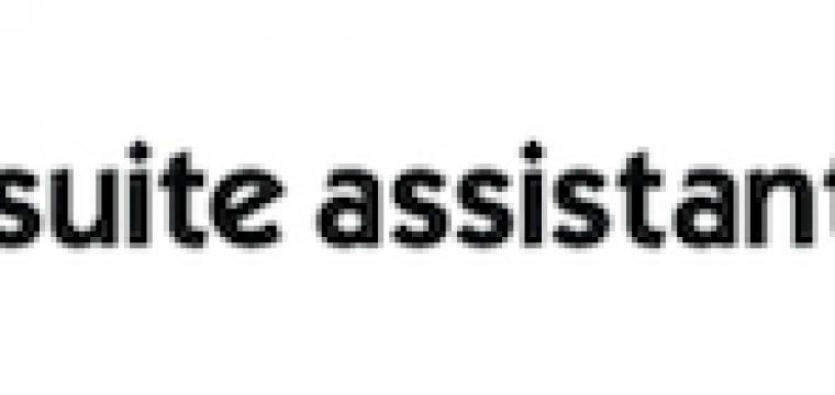 C-Suite Assistants