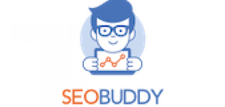 SEO Checklist by SEO Buddy